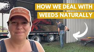 Case Study: Debbie Post Potter, Part 4