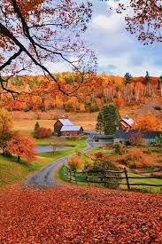 I Can Smell And Feel Fall In This Photo Winter Is Creeping In Paisaje De Otono Fotografia Paisaje Hermosos Paisajes