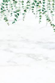 Download Premium Vector Of Hand Drawn Eucalyptus Leaf On White Marble White Background Wallpaper Flower Background Wallpaper Leaf Background