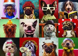 Holiday dogs is a fun and very festive 1000 piece jigsaw puzzle from eurographics! Amazon Com Eurographics Funny Dogs By Lucia Heffernan 1000 Piece Puzzle Toys Games