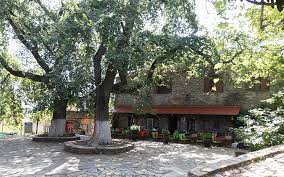 Διαβάστε τα σχόλια για τα ξενοδοχεία και επιλέξτε το καλύτερο ξενοδοχείο για τη διαμονή σας. O F8inopwrinos Palaios Pantelehmonas Moiazei Bgalmenos Apo Allh Epoxh Fwtografies H Ka8hmerinh