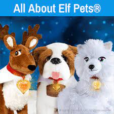 What Are Elf Pets The Elf On The Shelf Elf Pets What Is Elf Elf