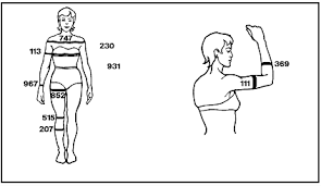 Anthropometry And Biomechanics