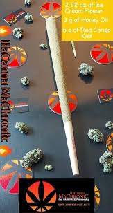 The latest tweets from @amlivemon Hacanna Machronic Hmchronic Twitter