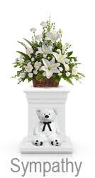 Florida is perhaps best known for its beaches and orange production. Tampa Flower Shop Same Day Delivery 844 851 6252