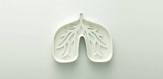 Maybe you would like to learn more about one of these? La Respiration Education Numerique