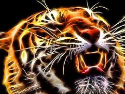 Fond D Ecran Tigre