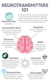 Pin By Muratortak On Study Motivation In 2020 Brain Facts Medical Knowledge Brain Anatomy