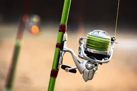 Feb 07, 2021 · attach the thread or line and tighten up the reel. How To Choose A Fishing Rod The Complete Guide