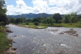 Image result for Afroqueta