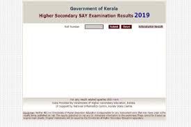 Dhse kerala plus two(hse/vhse) result 2021 is going to be released today(28 july). Kerala Plus Two Say Results 2019 Declared At Keralaresults Nic In Direct Link To Check Results Here