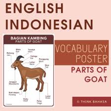 Horn, horns, horned, plantain, plantains, platycerium, atlas beetle, butterfly wings. Body Parts Of Goat English Indonesian Vocabulary Poster Bagian Tubuh Kambing