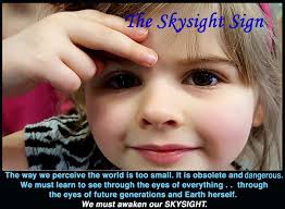 Art For the Sky Projects Filmed by Daniel Dancer