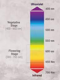 Moving the grow light closer will increase the light intensity which can maximize photosynthesis. The Indoor Marijuana Grower S Guide To Artificial Lights Rqs Blog