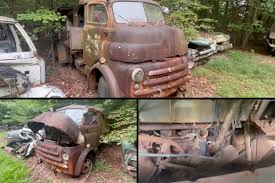 Image result for Granite Gray 1951 Dodge Truck