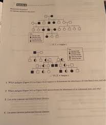 He just has them packaged a bit differently. Solved Activity 2 Inheritance Of Sex Linked Traits Materi Chegg Com