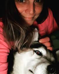 Vet with contract for stray dogs in the area