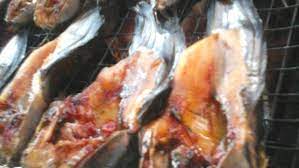 We did not find results for: Harga Ikan Asap Di Pasaran Ikan Lele Salai Alami