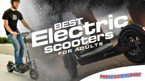 Bird Es1 300 Electric Scooter Review The 13 Best Electric Scooters For Adults For 2020 Updated Guide Proscootersmart