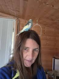 Choas from wilfs ! Hope father Christmas bring hair clips !!