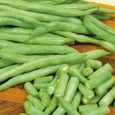 Blue lake bush bean plant spacing. Beans Bush Beans Blue Lake Bush Phaseolus Vulgaris My Garden Life