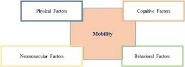 Want to learn more about it? Frontiers Mobility In Older Community Dwelling Persons A Narrative Review Physiology