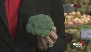 Yes You Can Take Too Many Vitamins Man Damages Kidneys With Too Much Vitamin D National Globalnews Ca
