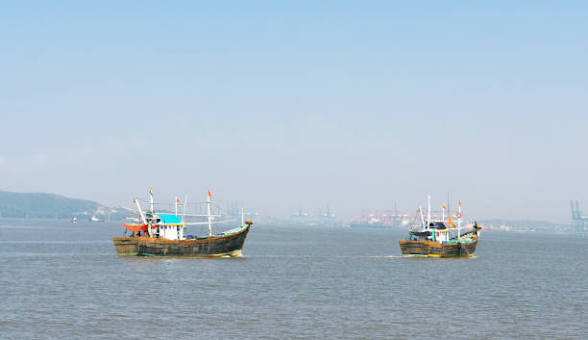 150+ Fishing Harbour In Mumbai Stock Photos, Pictures & Royalty-Free Images - iStock