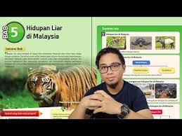 Di malaysia, terdapat banyak spesies unik memandangkan hutan di malaysia beriklimkan khatulistiwa dan mempunyai hutan. Geografi Kssm T3 B5 Hidupan Liar Di Malaysia Youtube