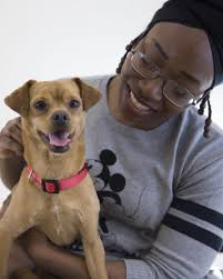 D & V Pets: Breaking Barriers