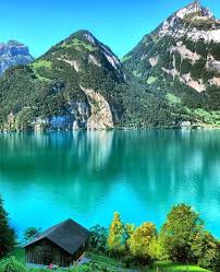 sisikon is a municipality in the canton of uri in switzerland it is situated on the shore of lake lucern travel spot vacation destinations lucerne switzerland