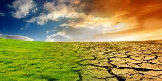 Foto 5 Negara Yang Paling Terkena Dampak Dari Global Warming Merdeka Com
