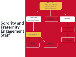 Organizational Chart Sorority And Fraternity Engagement