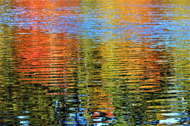 We did not find results for: Belfast Library Exhibits Water Reflection Photography By Patrick Walsh Penbay Pilot