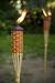 Tiki Torches Backyard Party