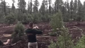 Browse latest funny, amazing,cool, lol, cute,reaction gifs and animated pictures! Watch The Sudden Serious Damage A Flash Flood Can Do