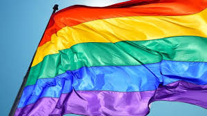 Mittlerweile hat die uefa entschieden: Vg Dresden Regenbogenflagge Darf Vor Ministerium Wehen