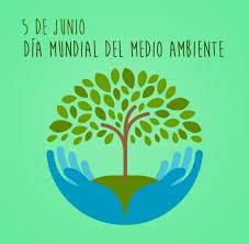 Todas las noticias sobre día medio ambiente publicadas en el país. Dia Mundial Del Medio Ambiente 2019 Consume Con Moderacion Ecologia Hoy