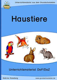 Daf Daz Haustiere Unterrichtsmaterial Haustiere Und Deutsch Fur Anfanger