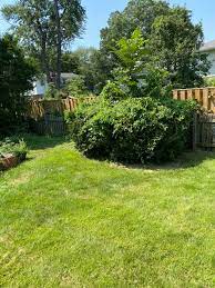 Lawnmower parts and accessories provide a simple way to give your lawn mower a new lease of life without the huge expense of purchasing a brand new machine. Westwood Lawn Care Facebook