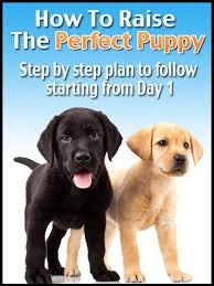 Housetraining Your Puppy Or Dog Puppy Training Puppies Puppy Time