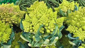 It was exclusively grown in rome starting around the 16th century, which. Romanesco Fakten Zum Naturlichen Meisterwerk Egg Plant
