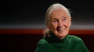 Dream Home Makeovers, courtesy of Shea and Syd McGee, now