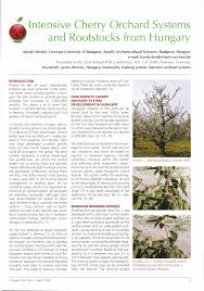 You can also inquire about custom trees. Pdf Hrotko K 2010 Intensive Cherry Orchard Systems And Rootstocks From Hungary Compact Fruit Tree 43 1 5 10