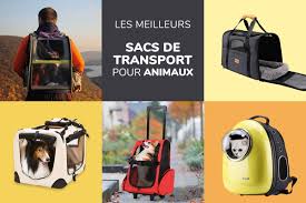 Les box de transport pour chats ainsi que les sacs devraient idéalement avoir deux ouvertures : Guide Des Meilleurs Sacs De Transport Chat Et Chien Fevrier 2021