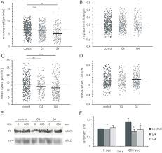 Monoclonal antibodies against camel ( camelus dromedarius) igg, igm and light chains. Filamin A Promotes Efficient Migration And Phagocytosis Of Neutrophil Like Hl 60 Cells Sciencedirect