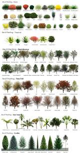 Trees And Shrubs Identification Chart Paper Garden