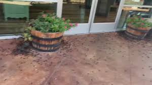 Bloomfield florist denton tx, flower shops in denton, denton florist denton tx, denton tx flower delivery, the florist denton tx, crickets florist denton tx, denton ftd florist, florist in denton tx 76201 thwarting house with. Texas Cricket Infestation Austinites Not Impressed By Bug Swarms Kvue Com