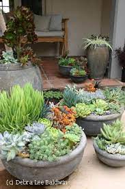 38 ideas for succulents in containers. Love This Idea For The Front Porch Too Hot For Most Plants Succulent Gardening Succulent Planter Succulent Planter Diy