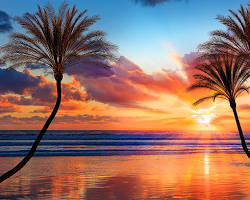 Image of Southern California beach with palm trees and sunshine
